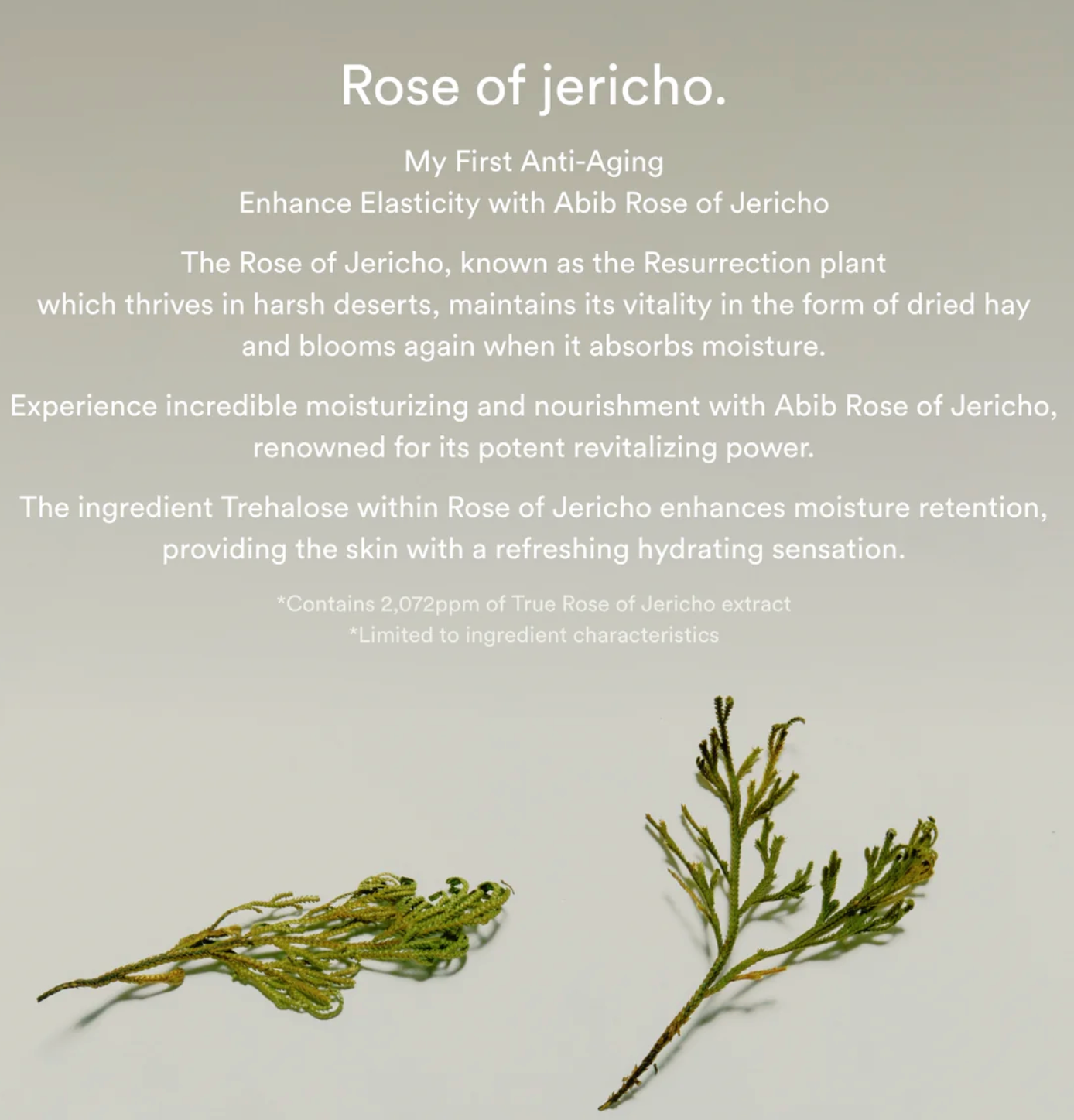 Abib Jericho Rose Bifida Serum Firming Drop