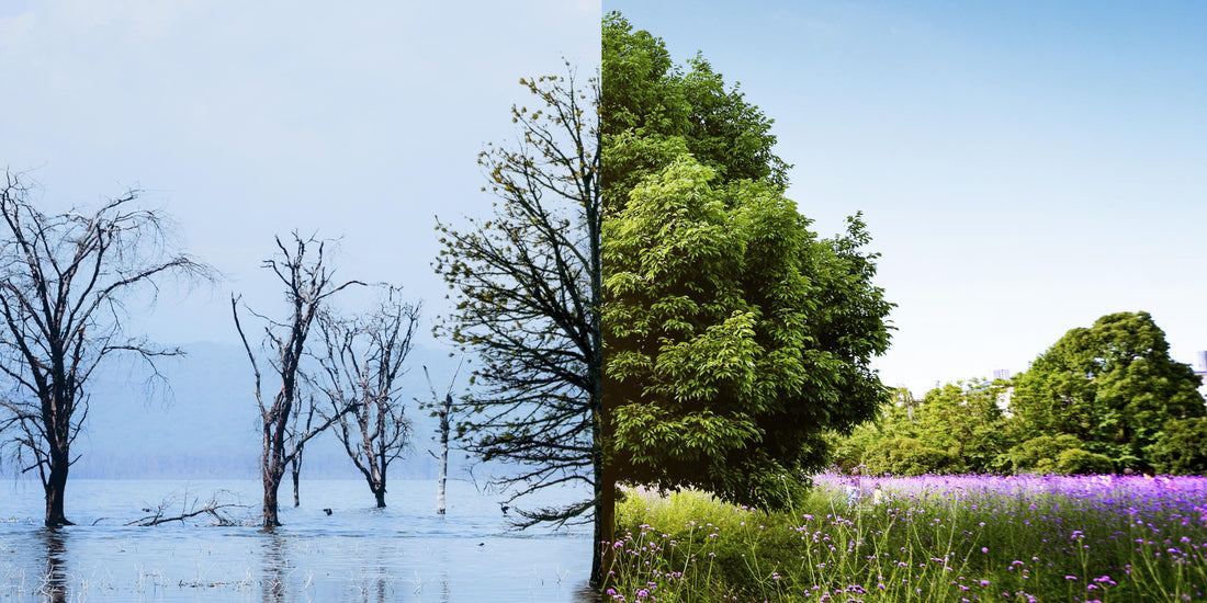 Van winter naar lente: Hoe je huid verandert en wat je kunt doen
