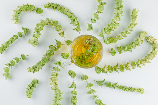 Centella Asiatica producten voor kalmerende huidverzorging