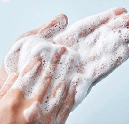 Round Lab 1025 Dokdo Cleanser