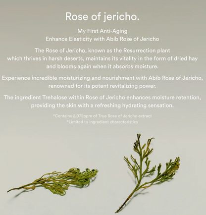 Abib Jericho Rose Bifida Serum Firming Drop